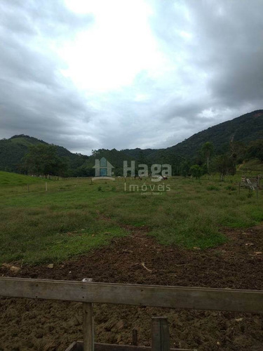 Imagem 4 de 7 de Chácara À Venda Em Canelinha/sc - 1025c