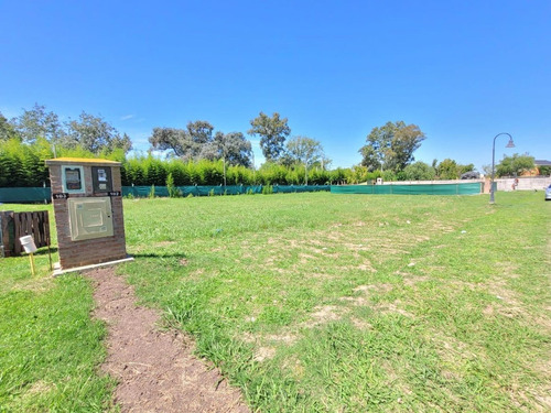 Venta Lote Solar De Alvarez