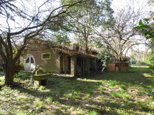 Casa En Venta En Villa Elisa