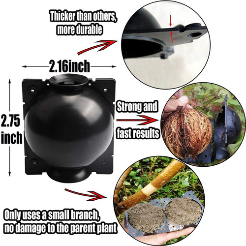 Imagen 5 de 10 de 5 X Dispositivos P/enraizamiento De Plantas Reutilizable 8cm