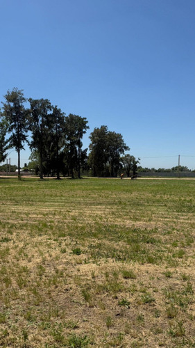 Venta Loteo (desde 800m2 Cada Parcela) Consulta Financiación!!