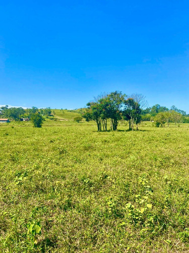 Imagem 1 de 5 de W30-lotes Para Construção De Sítios