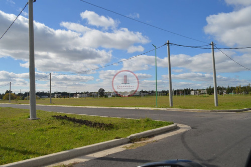 Imagen 7 de 30 de Terreno Lote En Venta Ubicado En Manuel B Gonnet, La Plata