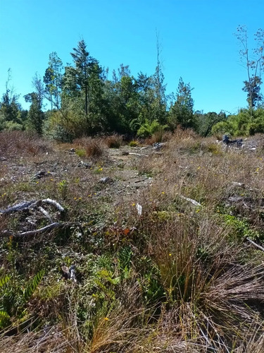 Campo De 16 Hectáreas En Chiloé