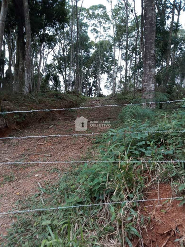 Imagem 12 de 26 de Terreno, Dos Neves (caucaia Do Alto), Cotia - R$ 210 Mil, Cod: 4254 - V4254