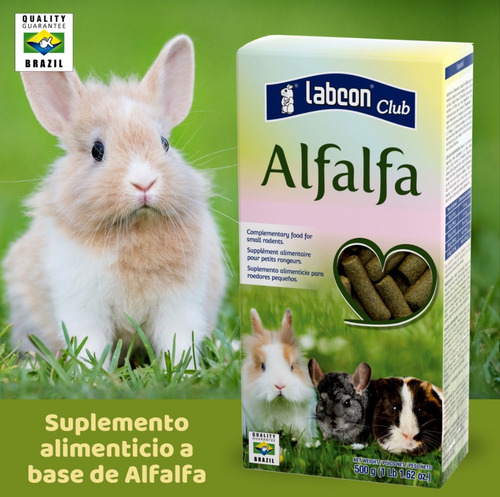 Alfalfa Alimento P/roedores + Viruta + Bloque Proteico