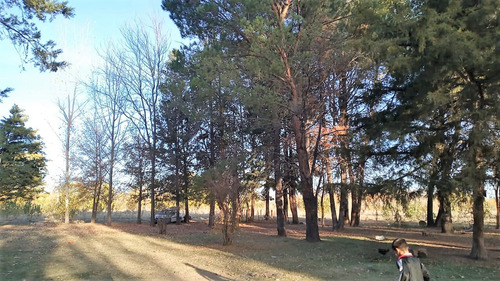 Venta De Campo En La Primavera  Tunuyan