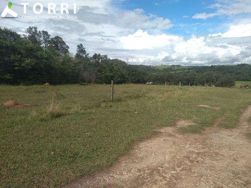 Sítio À Venda Em Porto Feliz - St00138 - 69329856