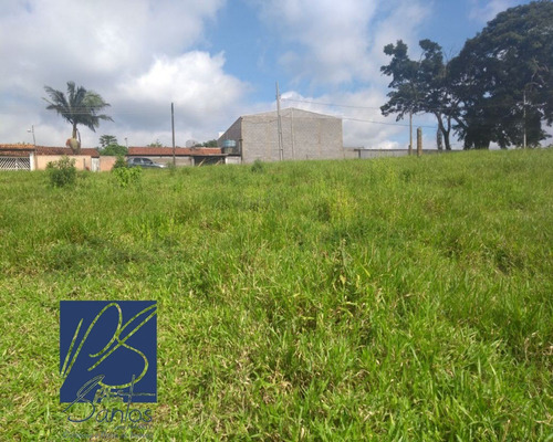 Imagem 2 de 14 de Sitio - St00014 - 32225633