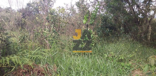 Área À Venda, 20000 M² Por R$ 290.000 - Fazenda Primavera - Jarinu/sp - Ar1939