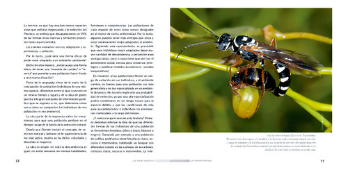 Invencion Del Sexo Y La Evolucion De La Vida, De Volkmann Luis Rafael., Vol. Unico. Editorial Ecoval, Tapa Blanda, Edición Primera En Español, 2023