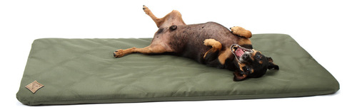 Colchonete Resistente Verde Bichinho Chic G