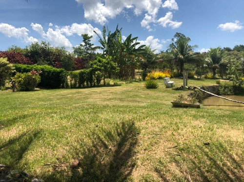Imagem 28 de 30 de Chácara Em Granjas Mirassol (pachecos), Itaboraí/rj De 10000m² 3 Quartos À Venda Por R$ 990.000,00 - Ch1314298-s