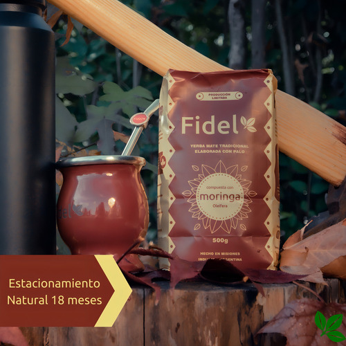 Fidel Yerba Mate Tradicional Con Moringa 500 G