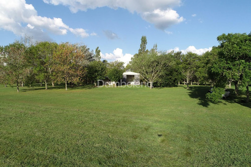 Imagen 15 de 30 de Terreno Campo En Venta O Permuta Ubicado En Baradero, Resto De La Provincia, Buenos Aires