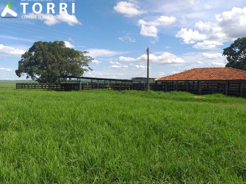 Imagem 19 de 20 de Fazenda À Venda Em Alto Alegre - Fa00176 - 69382951
