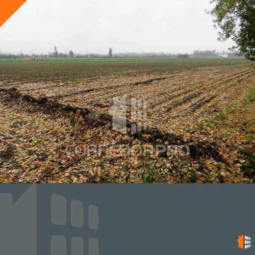 Terreno De 83.000 M2 Cercano A Camino Lo Echevers Con El...