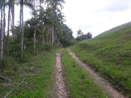 Imagen 3 de 6 de Venta De Terreno En La Carretera Iquitos/nauta Km 65