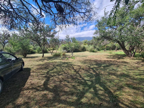 Vendo Lote En Carpinteria