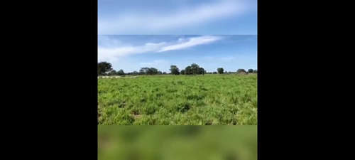Imagem 25 de 30 de Fazenda 3366 Hectares, 5 Poços Artesianos, 4 Reservatórios De Agua, 42 Bebedouros De 12mil Litros, 80 Casinhas De Cocho Cobertas, 2 Corredores Centrai - Fa00043 - 69928786