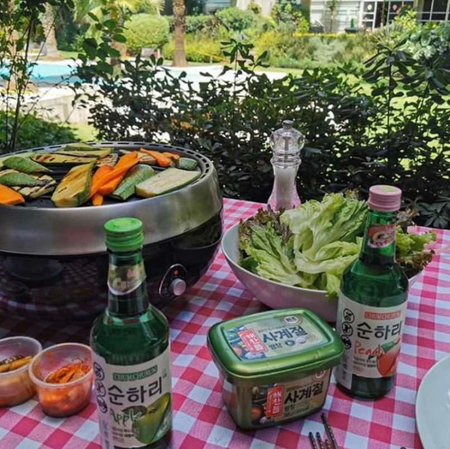 Imagen 7 de 10 de Asador Portátil De Carbón Homping Portagrill