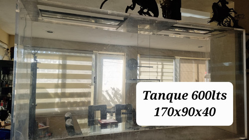 Acuario Pecera De Plexiglass 600lts (usado) Blanco (Usado)