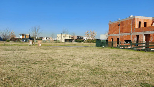 Imagen 3 de 5 de Terreno - Acacias