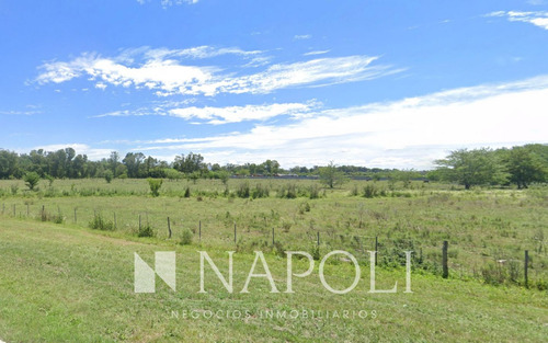 Lote De 12 Hectáreas En Venta En Cañuelas