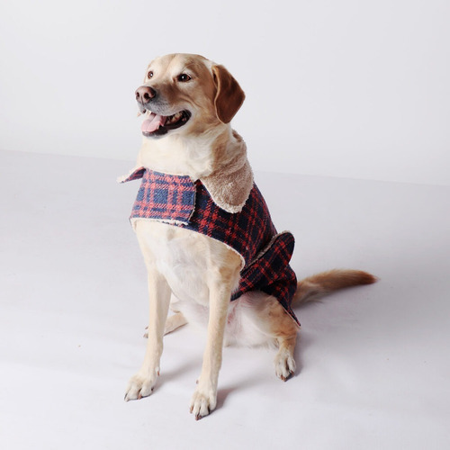 Imagen 5 de 6 de Kimba Eco Capa Perro Escocés Azul/rojo Talla Xxl(20 A 30kg)