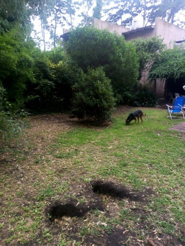 Venta Casa 4 Ambientes Bosque Peralta Ramos