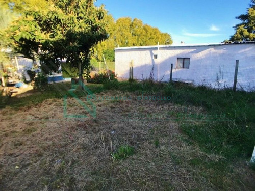 Imagen 12 de 13 de Colonia Del Sacramento - Casa A Estrenar De 2 Dormitorios