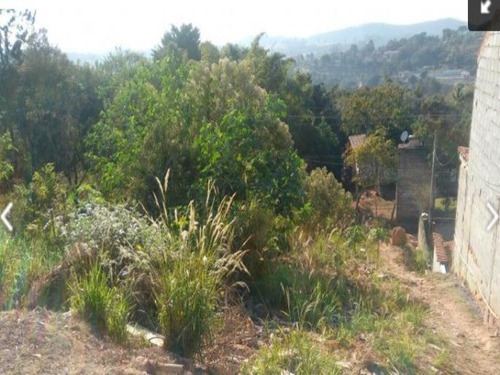 Imagem 5 de 5 de Terreno - Te00141 - 69381158