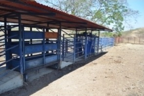 Imagen 7 de 14 de Venta Finca Tinaquillo Plano Pozo Tanque Cod. 422543 Cesar Laurentin