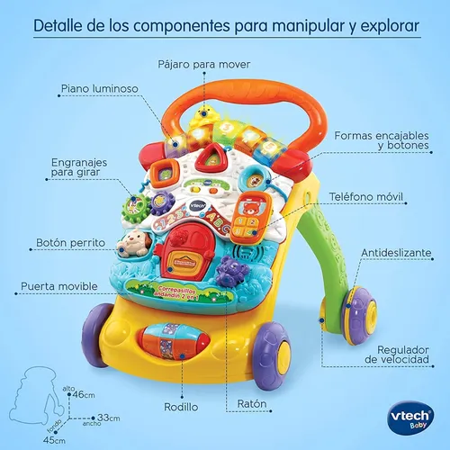 Vtech - Correpasillos Andandin 2 en 1, Vtech