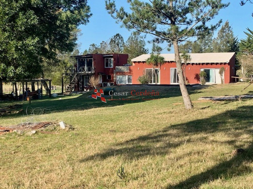 Venta O Permuta - Chacra En Sierra De Los Caracoles- Ref: 1484