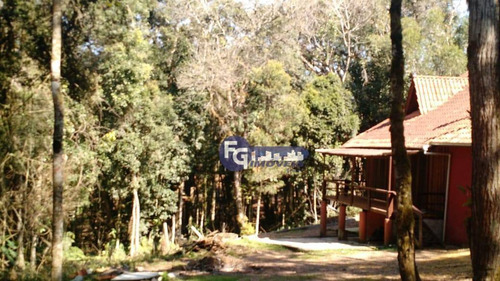 Imagem 10 de 25 de Chácara Com 2 Dormitórios À Venda, 5400 M² Por R$ 319.000,00 - Campestre Da Faxina - São José Dos Pinhais/pr - Ch0013
