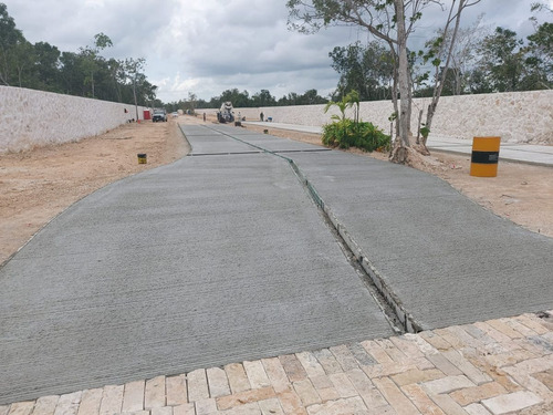 Losantos: Terrenos Residenciales By Artigas, Cancún.