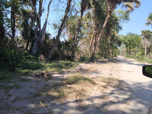 Hectáreas En Venta En Punta Tiburón, Atras Alvarado, Veracruz