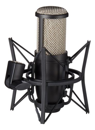 Akg Pro Audio Pro Audio Perception 220 Micrófono De Estudio