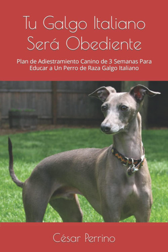 Libro: Tu Galgo Italiano Será Obediente: Plan De Adiestramie