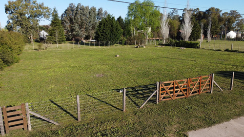 Terreno En Laguna De Lobos