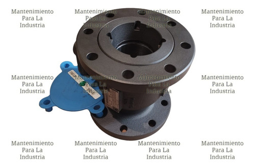 Válvula Bola 4 Worcester 444-t Clase 150#