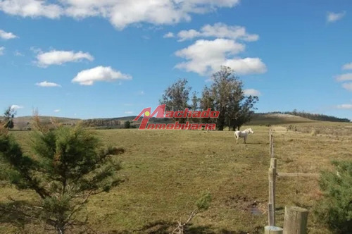 Imagen 5 de 7 de Venta De Chacra En Abra De Perdomo