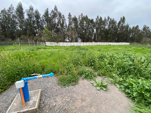 Imagen 18 de 19 de Bajó De Precio! Sitio En Parcelación De Isla De Maipo