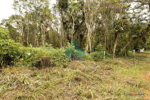 Imagem 4 de 4 de Terreno, Park Tabatinga, Ubatuba - R$ 600 Mil, Cod: 1714 - V1714