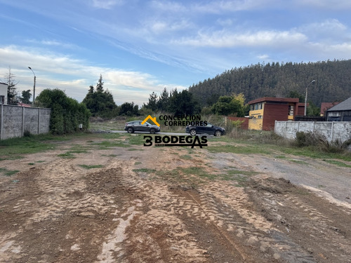 Sitio En Mitrinhue