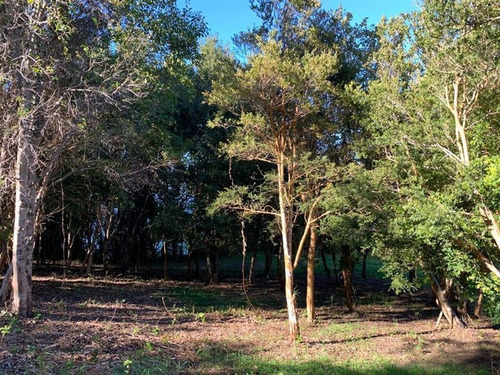 Imagen 9 de 14 de Sitio En Venta En Cascada
