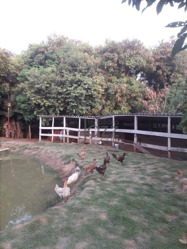 Chácara Com 3 Dormitórios À Venda, 3972 M² Por R$ 1.600.000 - Jardim Nova Veneza - Sumaré/sp - Ch0185