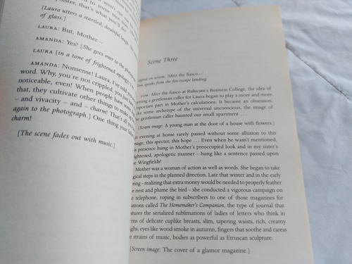The Glass Menagerie - Tennessee Williams - Penguin 2009 (Usado)