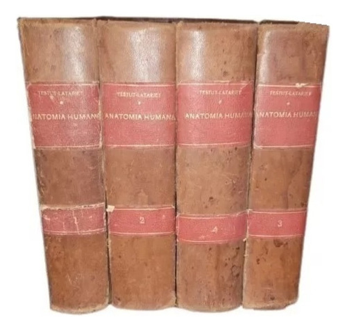Libro Anatomía Humana - Testut (Usado)